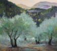 "Morgen an Oliven", Öl auf Leinwand, 70 x 80 cm, 2011