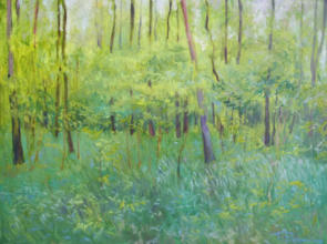 "Frühling im Wald", Öl auf Leinwand, 60 x 80 cm, 2008