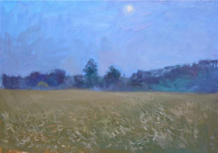 "Липнева ніч",  полотно, олія, 50 x 70, 2009