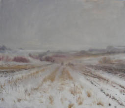 "Сонне поле",  полотно, олія, 60 x 70, 2008