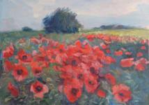 "Mohnblüte", Öl auf Leinwand, 50 x 70 cm, 2011