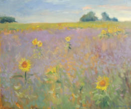 "Sonnenblumen im Feld", Öl auf Leinwand, 50 x 60 cm, 2010	