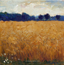 "Пшеничне поле",  полотно, олія, 40 x 40 cm, 2015
