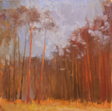 "Тиша в сосновому лісі", полотно, олія, 40 х 40 см, 2015